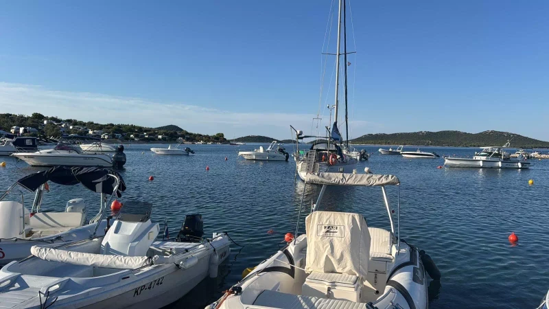 2ae39718-a5f0-4165-81d4-3472ab707542