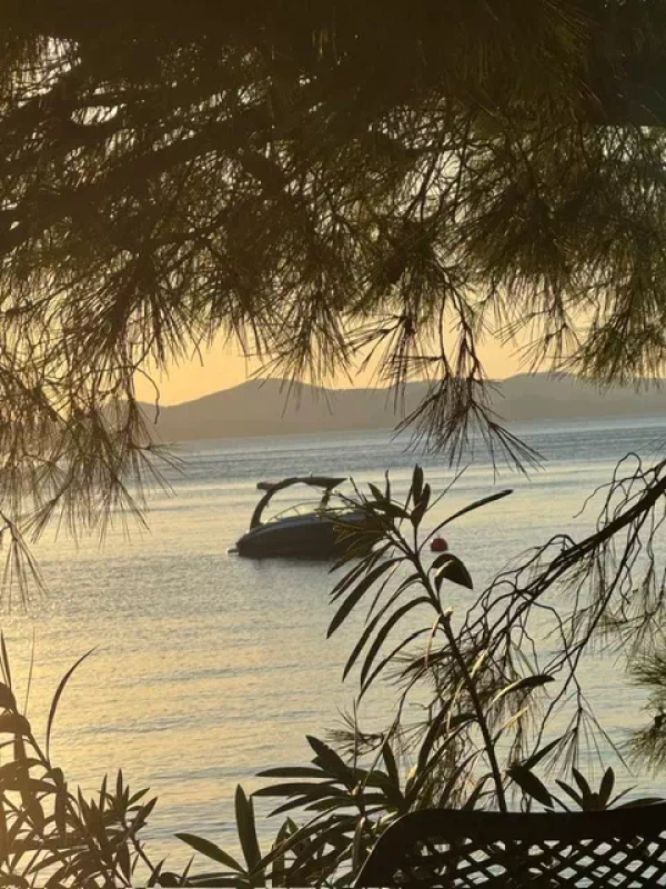 338d4184-95f8-4533-99a9-7a869ee999ff