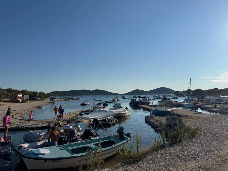 3f6f7603-e539-405e-8da1-50f172cdf4ca