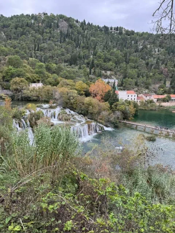 5469922e-8232-4273-b00e-f265720e4b69