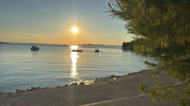 5a261a39-a8b3-421d-8bfa-b69fd18f1a2a