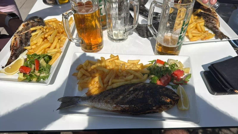 62a3a4f2-ab09-4785-a798-8423c7ad9c8b