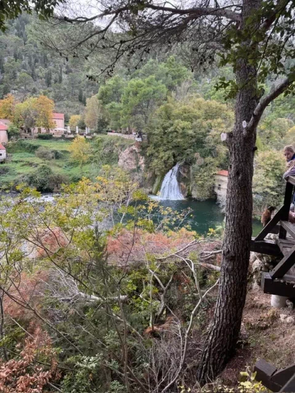 a16484fc-d710-42df-8717-52634d9d61e4