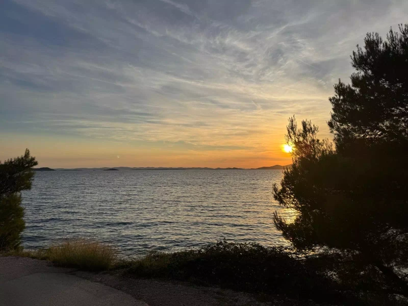 cf462053-8d5f-435c-bf80-14dabd1956d3